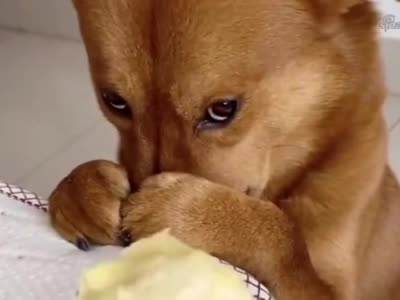 飞机杯到手之后的问题大解答,清洗保养,从入门到入土都能用的知识,一文搞定