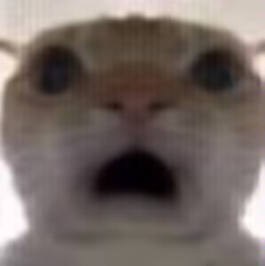 汤玛托易士-圣少女sleepless联名款飞机杯评测,间宫真理亚（中高刺激）