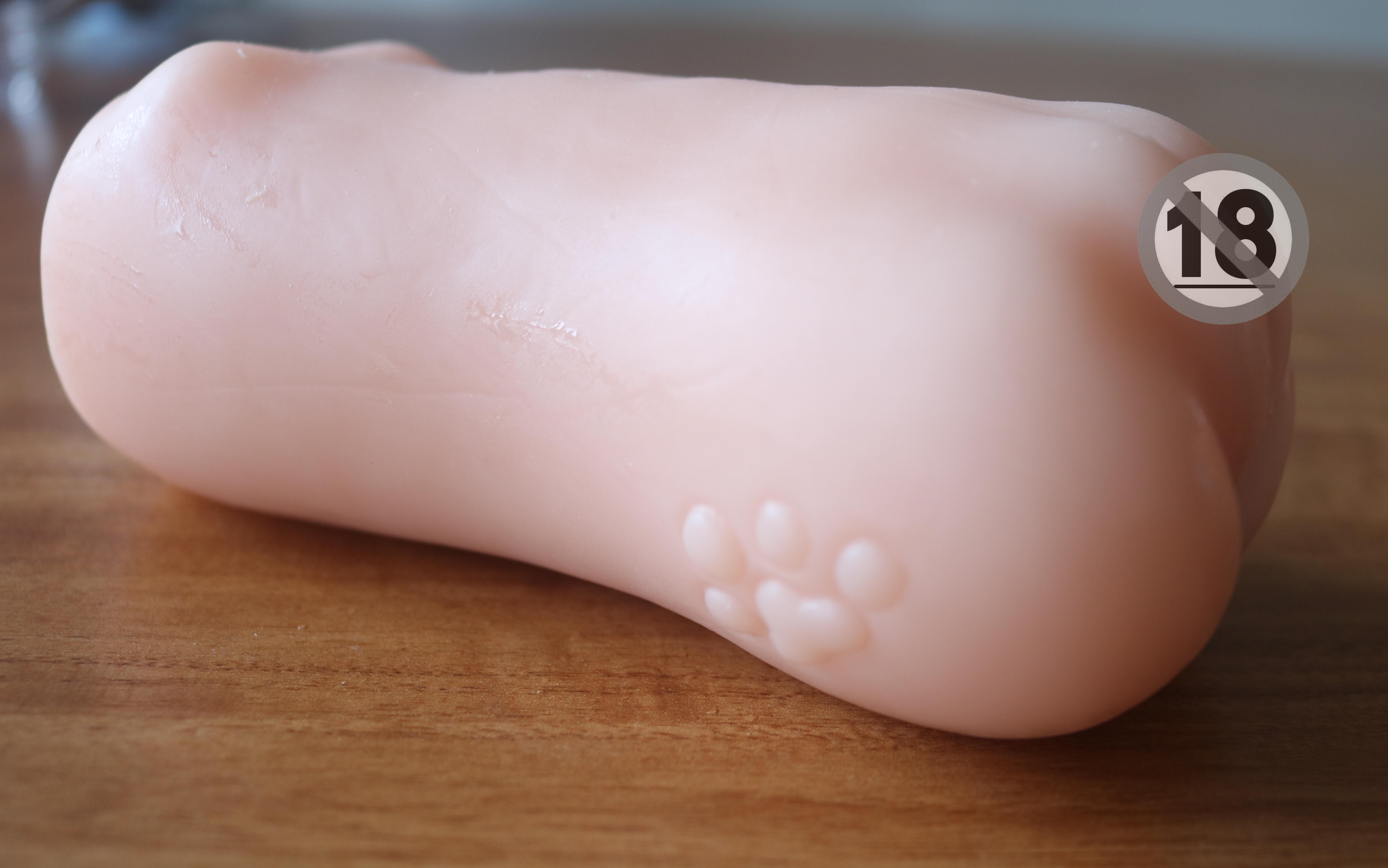 “我和我的动物朋友！”趣网美优酱评测（进阶）评测，无口系猫娘