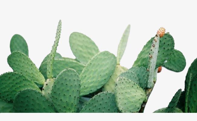 对子哈特—恶作剧上司（高刺激），难以按捺的热情与无法抵抗的刺激