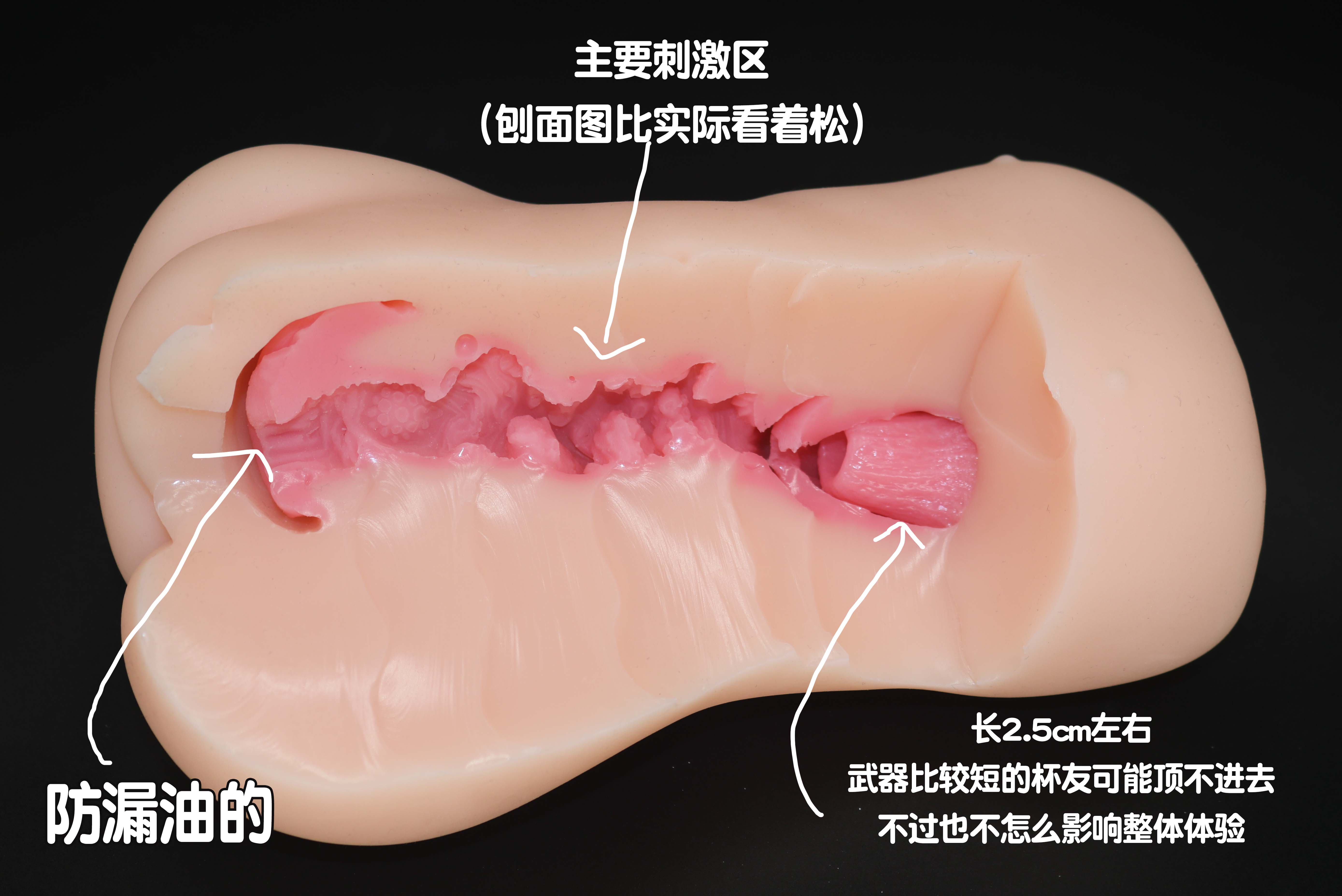 火炮——“奥乃子宫”评测！单材料的分段式的设计，超级明确的子宫插入感