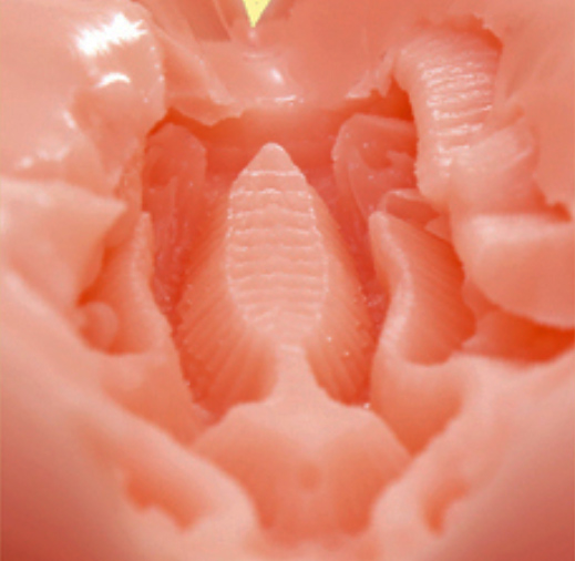 汤玛托易士-“眼镜上司”评测！突破你认知的新品种名器！2022日本高人气产品！