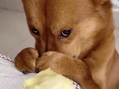 10种会让你的飞机杯光速去世的情况!千万注意!超全的小玩具保养指南!