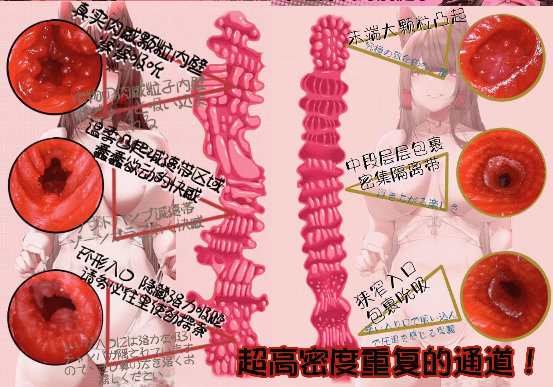 Onaho-舰娘赤城（小身体）评测！功能齐全的小身体，性价比之选的小型倒模！