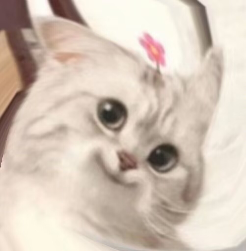 Onaho-舰娘赤城（小身体）评测！功能齐全的小身体，性价比之选的小型倒模！