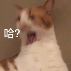 2023年秋（7-9月）评测大总结，综合排名集合！弟弟喜欢的好东西大盘点！