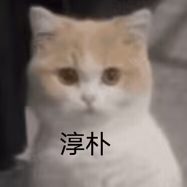 2023年秋（7-9月）评测大总结，综合排名集合！弟弟喜欢的好东西大盘点！