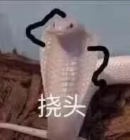 HOTFUN—“水着琉璃子【夏日版】”评测！著名的二次元名器，实际质量如何？