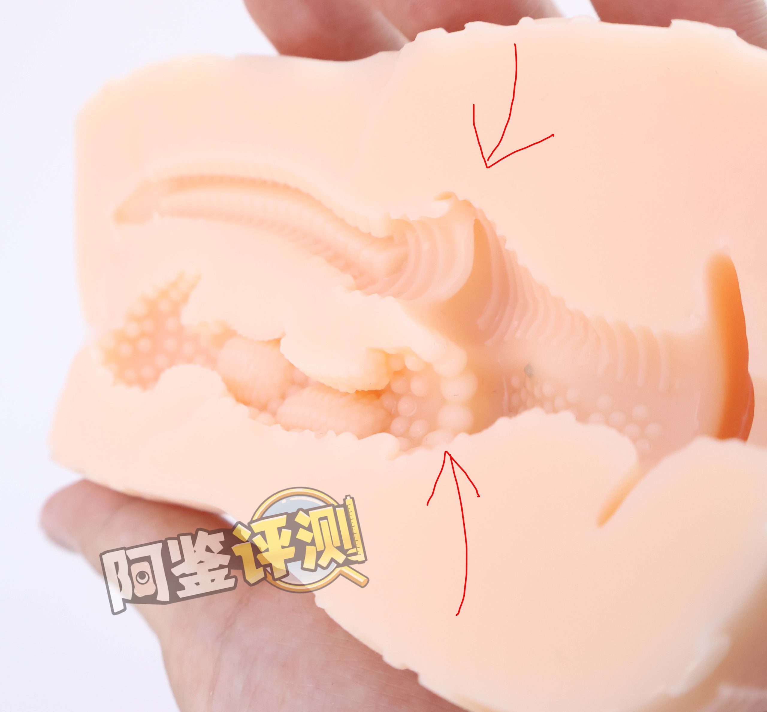 对子哈特——“时间术士”评测！泥鳅打洞？阿鉴的歪牛子终于有了用武之地！