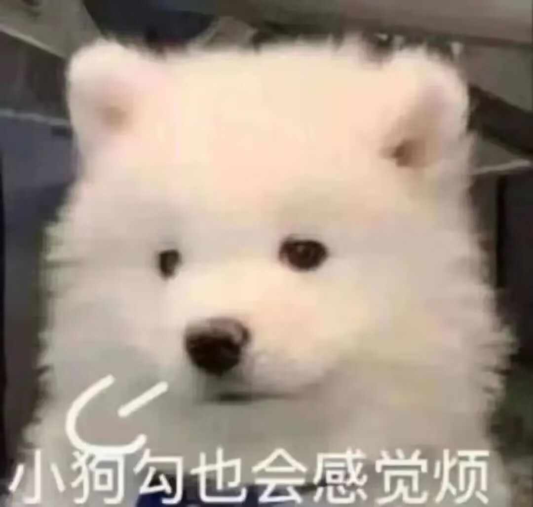 RIDE JAPAN——“眼镜娘护士”评测！对于颗粒感超强的慢玩，牛牛的反应不太确定...