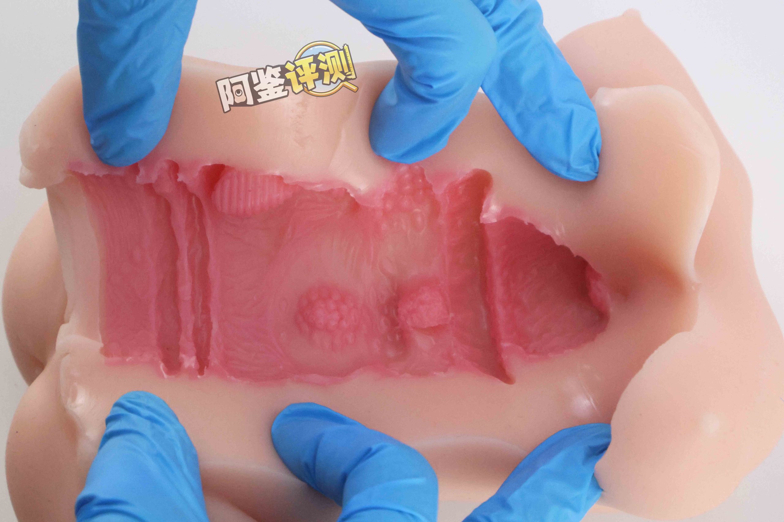 GXP—“异世界狐娘”评测！冬天冻吊训练神器，会“翘头”的大肉粒你见过没？