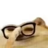 2023年终（至12月31日）评测综合排名！新年就要玩新杯！年假弟弟喷个爽！