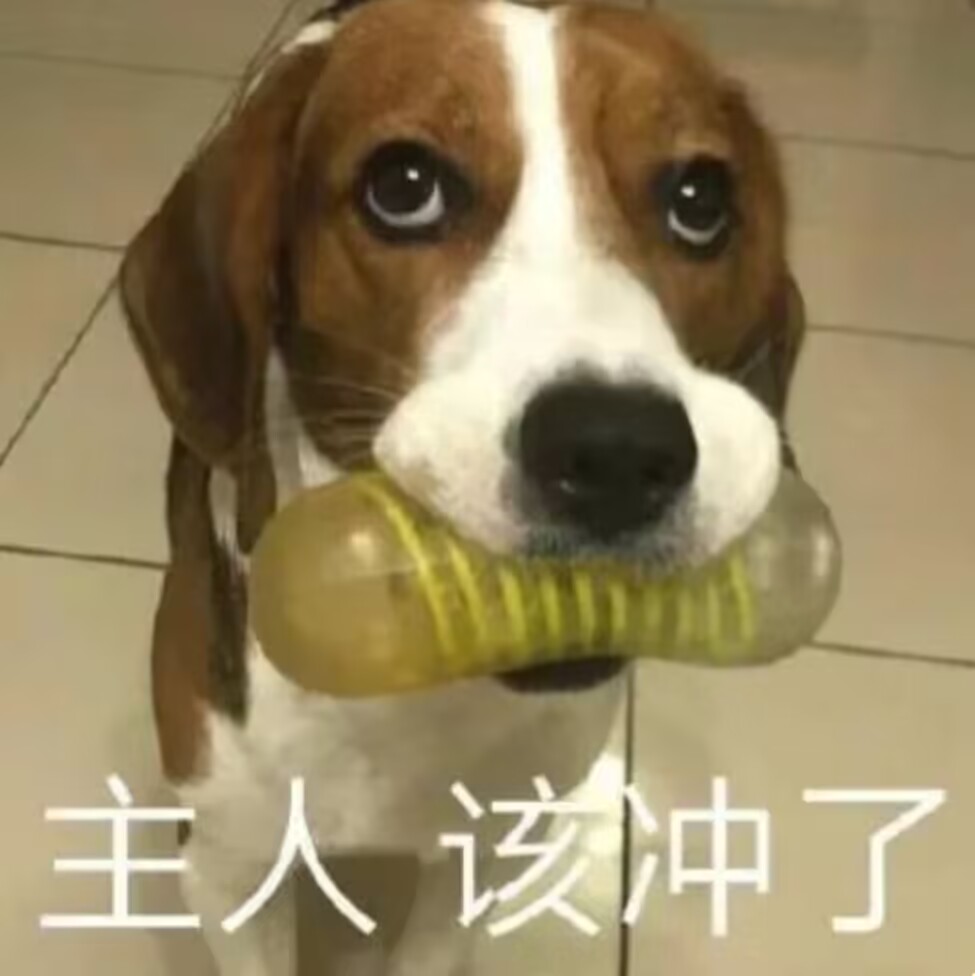 2023年终（至12月31日）评测综合排名！新年就要玩新杯！年假弟弟喷个爽！