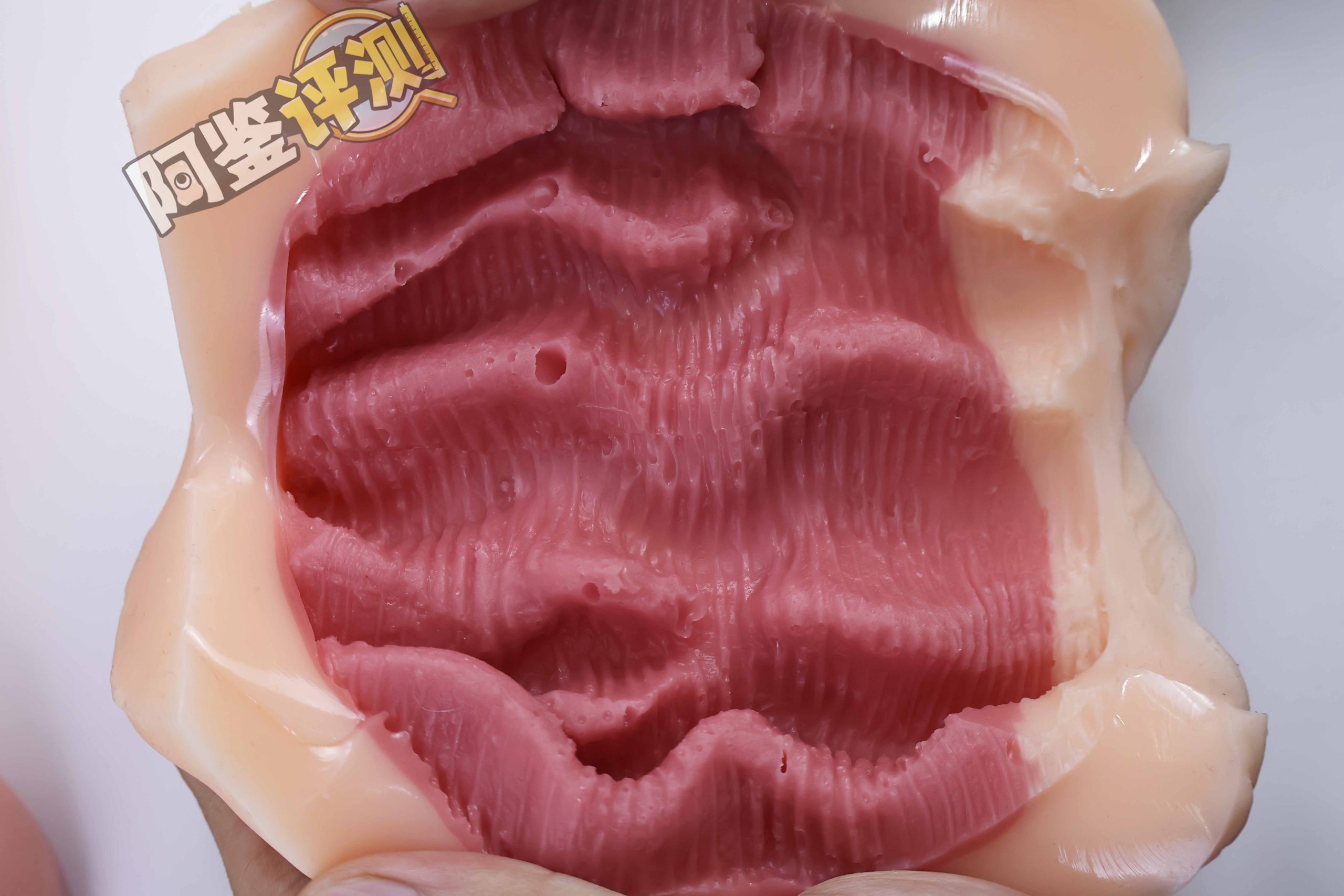 火炮——“高级大小姐的潜力W”评测！不能动的硬质肉脊结构，用起来感觉像被叉住了一样.....