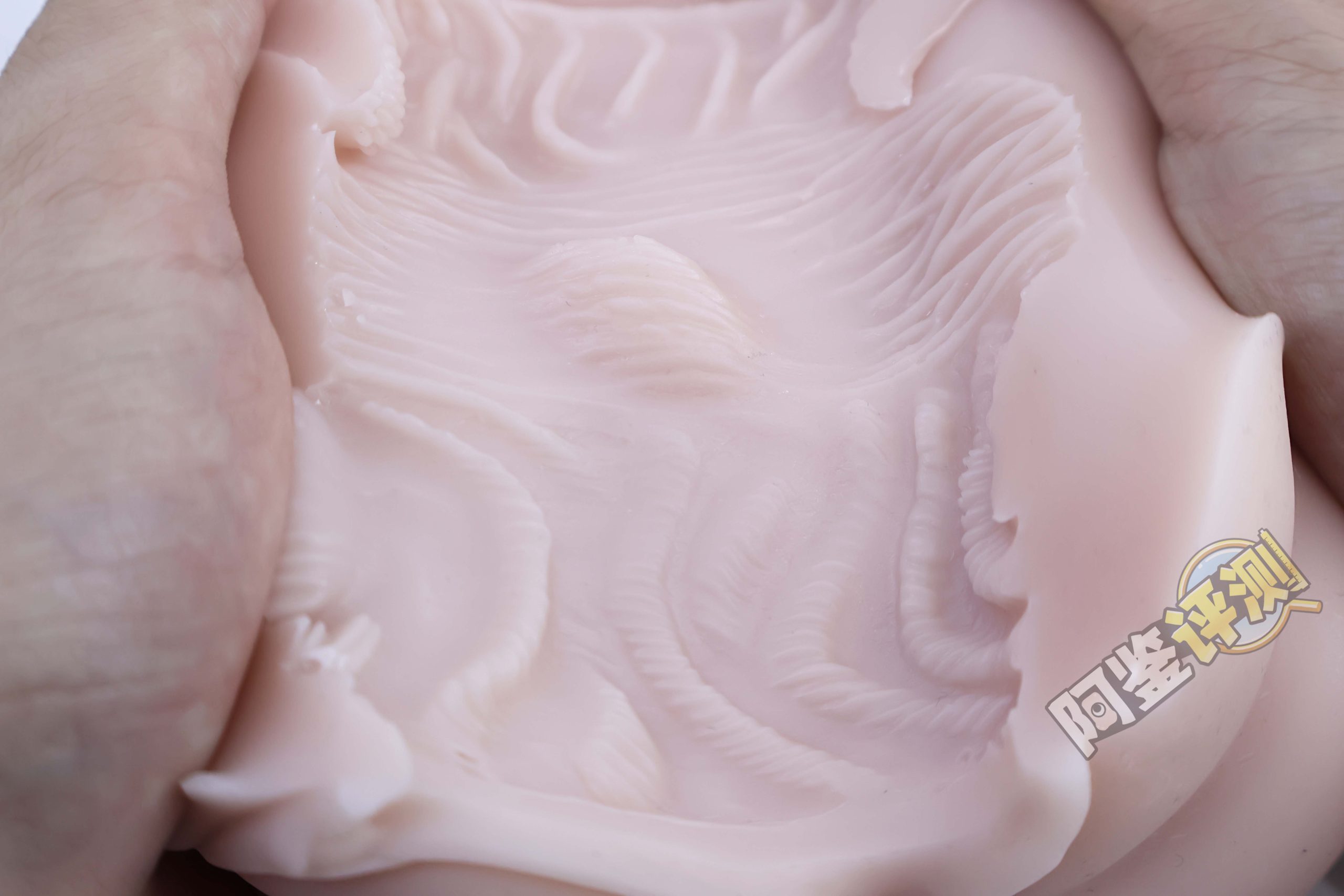 G-project——“艾露法”评测！又双叒叕是双通道，何时业界能放弃这个念头？