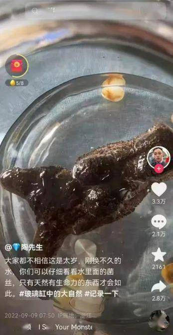 国产没牌子——“人形飞机杯”评测！最考古的一集！阿鉴用过的第一个斐济杯同款！