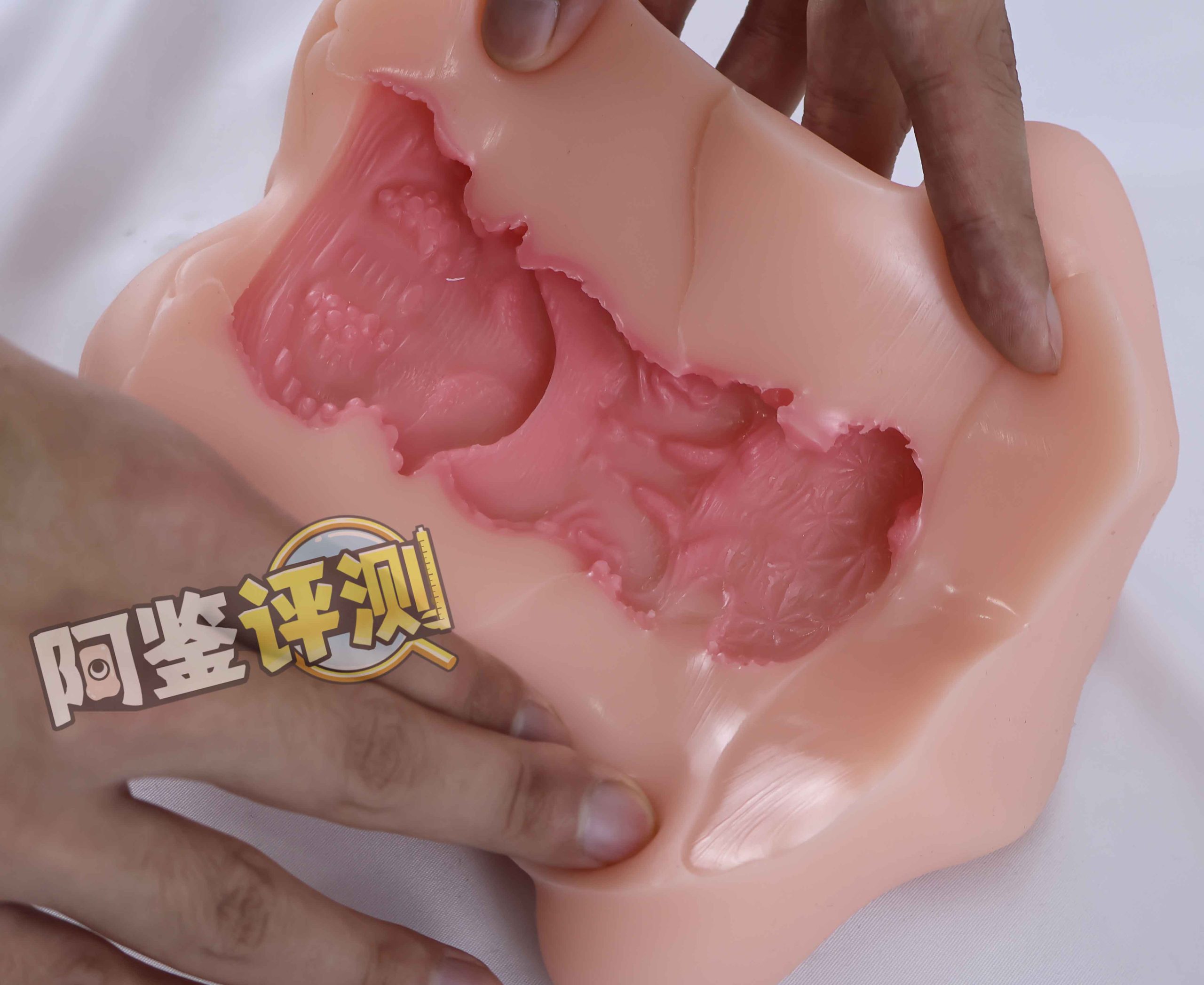 AGIaegir——“星座传说-水瓶座”评测！如同“心脏瓣膜”一般的结构，属实闻所未闻...