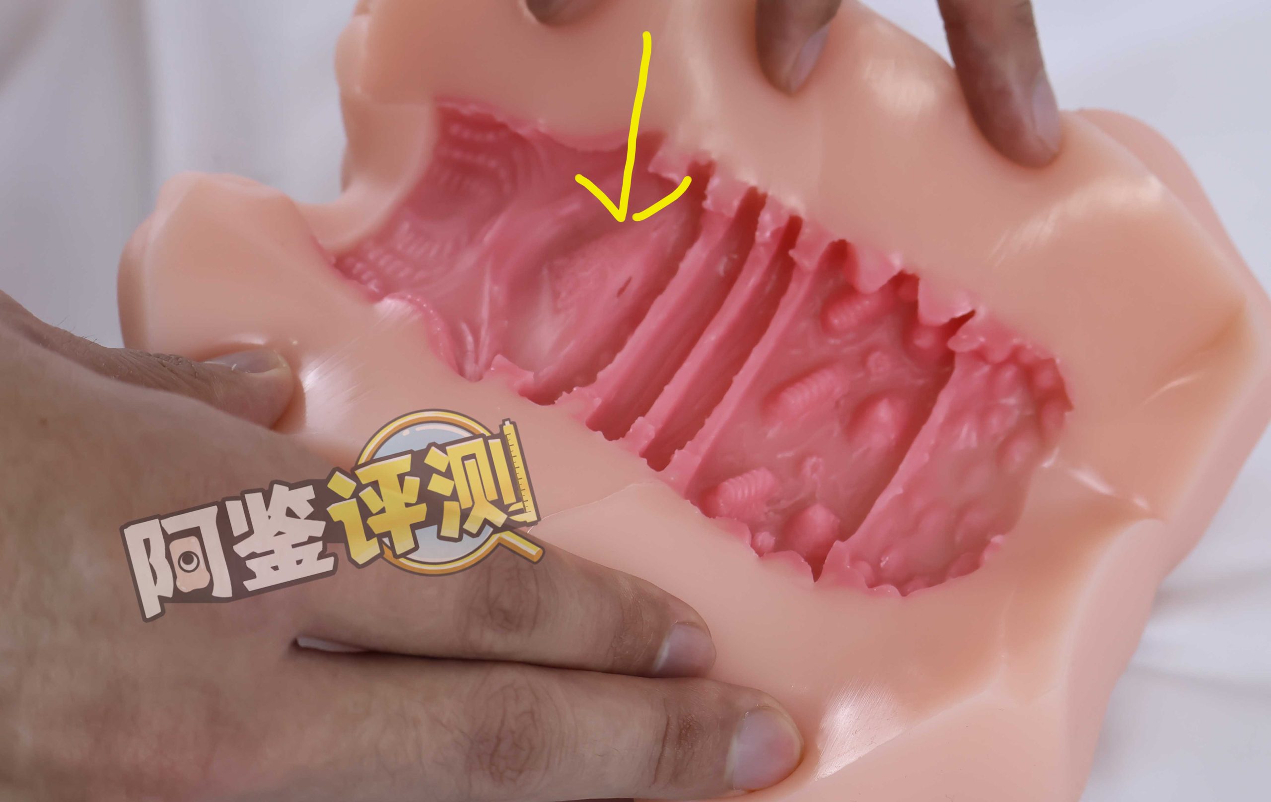 AGIaegir——“星座传说-魔蝎座”评测！新品牌试水之作，肉片结构表现如何？