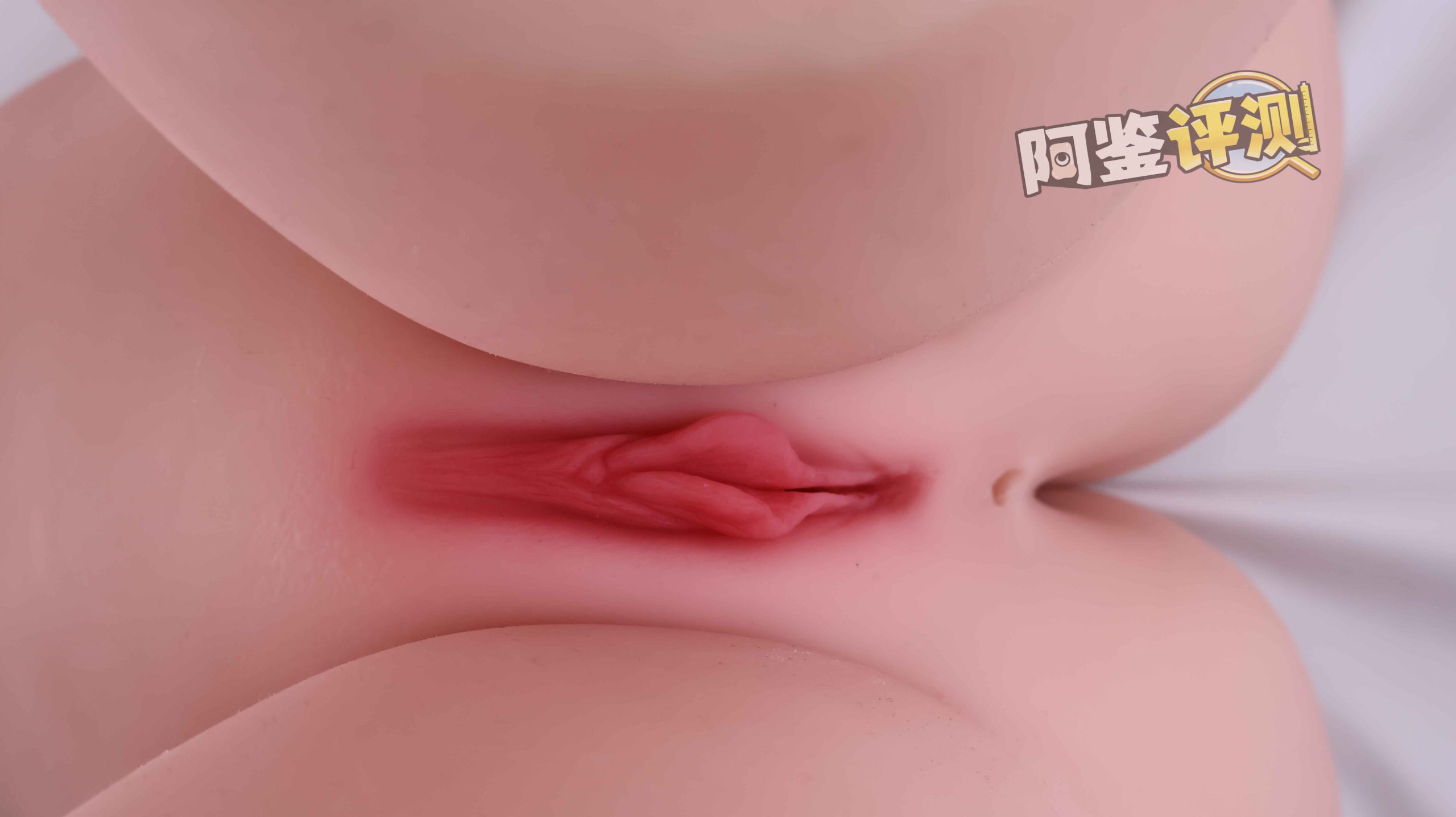 GXP——“夏威夷之旅”评测！最夸张的20kg“健身道具”，两处软胶的（超级贵）娃娃级玩具！