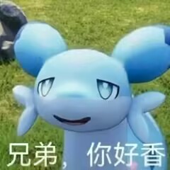 GXP——“夏威夷之旅”评测！最夸张的20kg“健身道具”，两处软胶的（超级贵）娃娃级玩具！