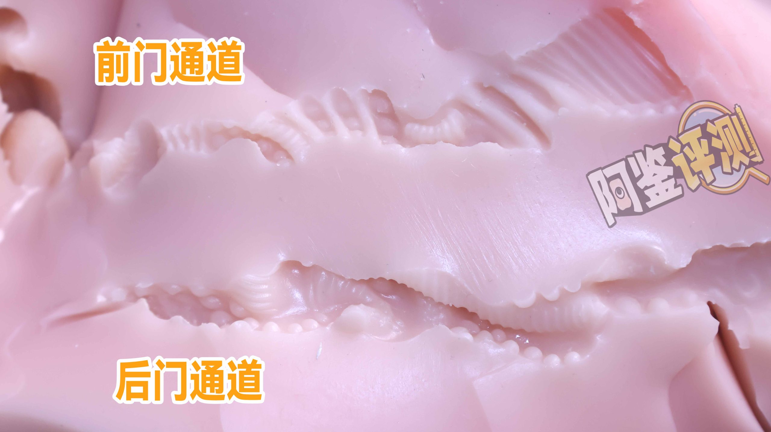 GXP——“夏威夷之旅”评测！最夸张的20kg“健身道具”，两处软胶的（超级贵）娃娃级玩具！