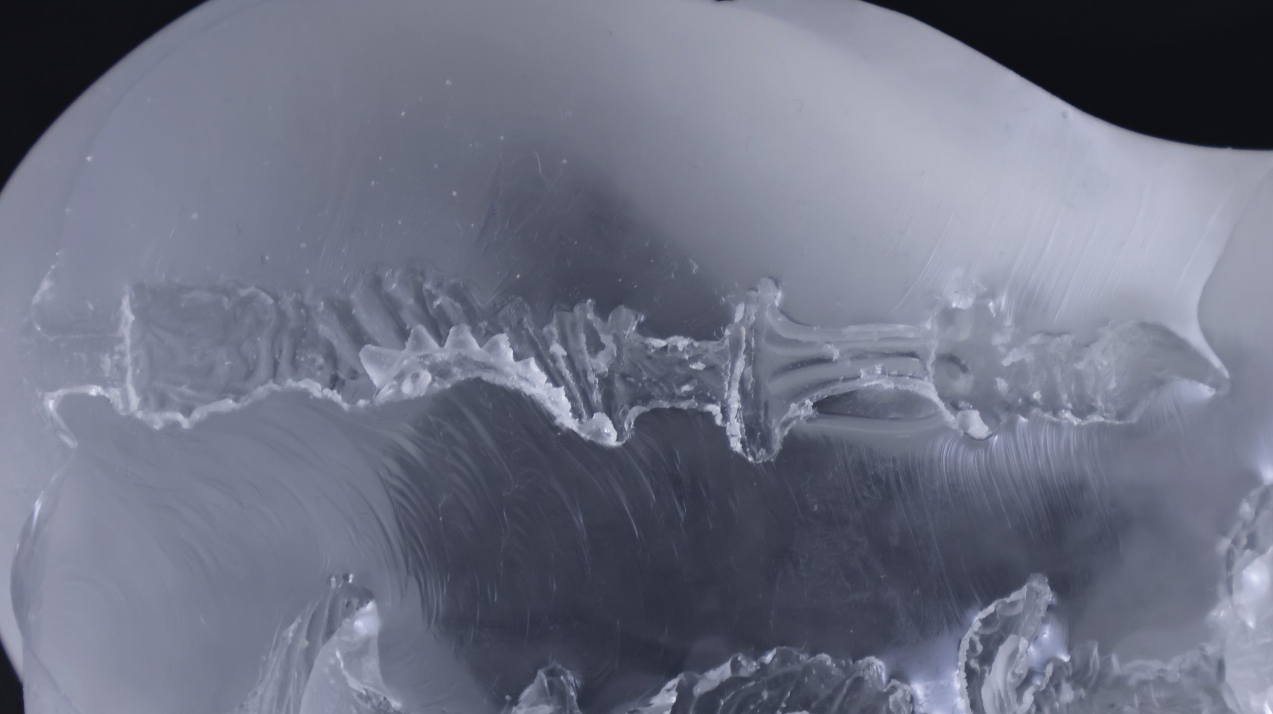 LoveFactor——“应援会长（透明版）”评测！硬度的变化如此之少，似乎只是为了透视噱头