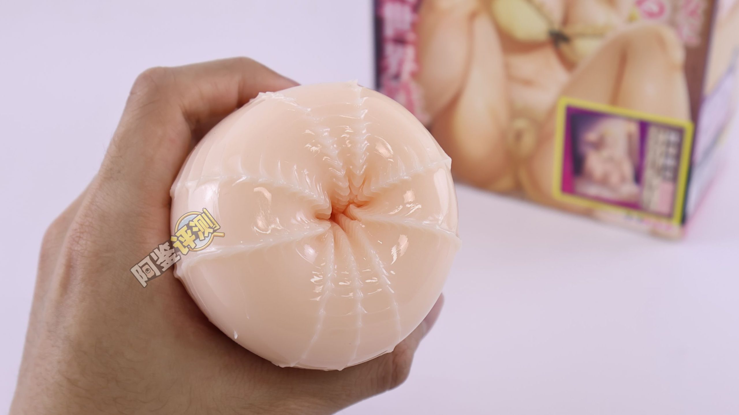 汤玛托易士——“异世界后宫物语—娜塔莉亚”评测！肉片杯这东西真的是越做越无聊了