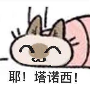 PPP——“对魔忍-不知火”评测！无论是细心研究还是歪打正着，这都是不错的平衡