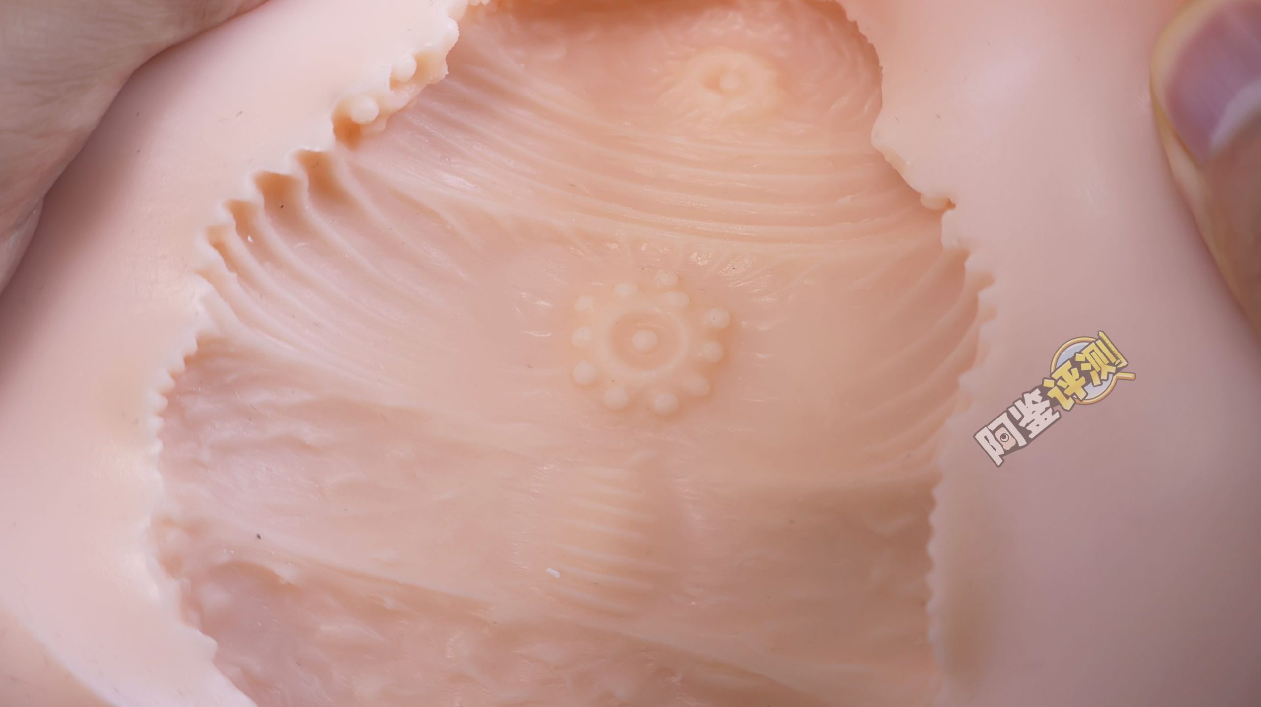 MACCOS——“纯洁之体”评测！少见的带腿小臀模，多种多样的视觉角度