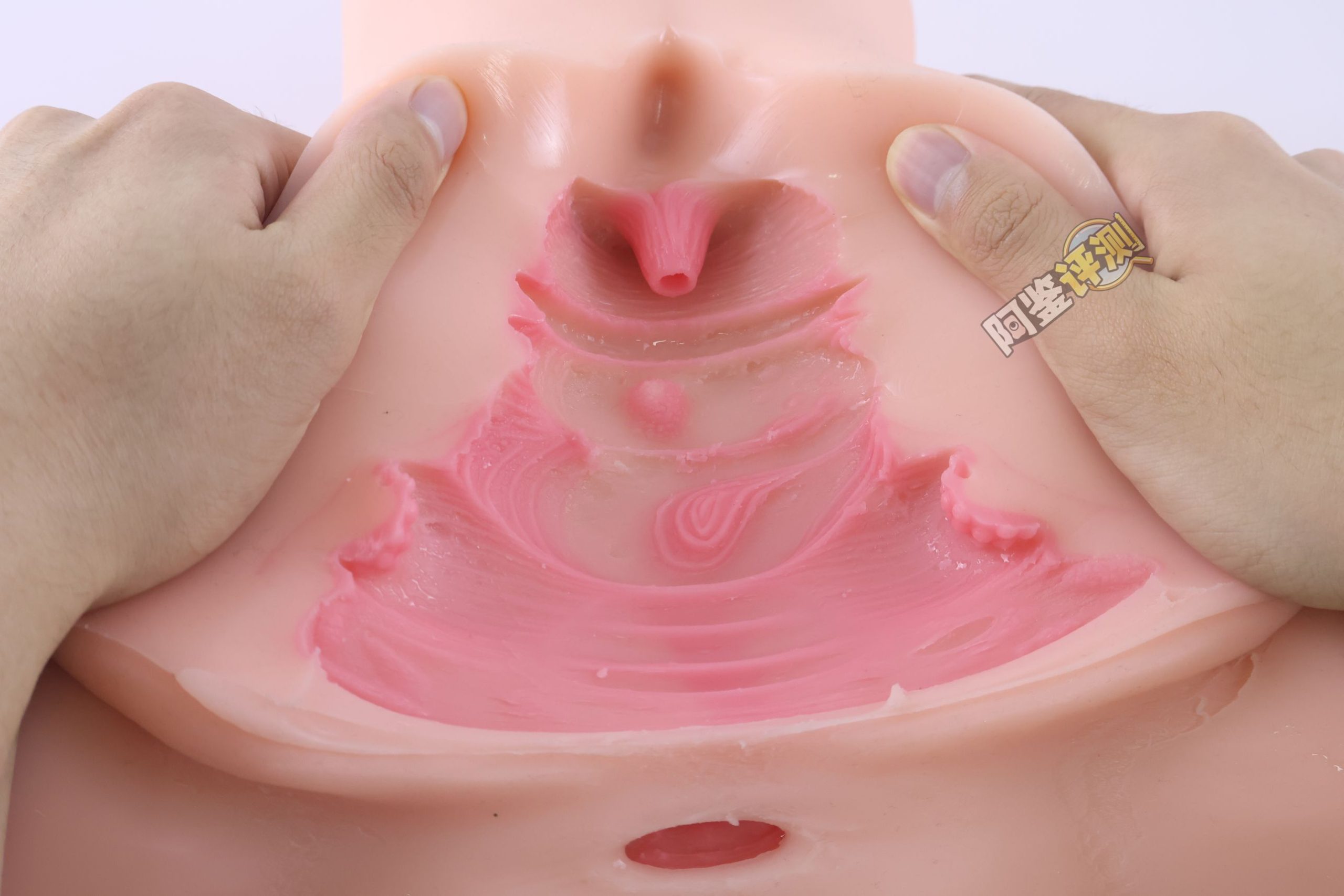 Kaguyano——“符津宵子”评测！能超越“纯洁之体”的部分，似乎只有材料的软度这一点了