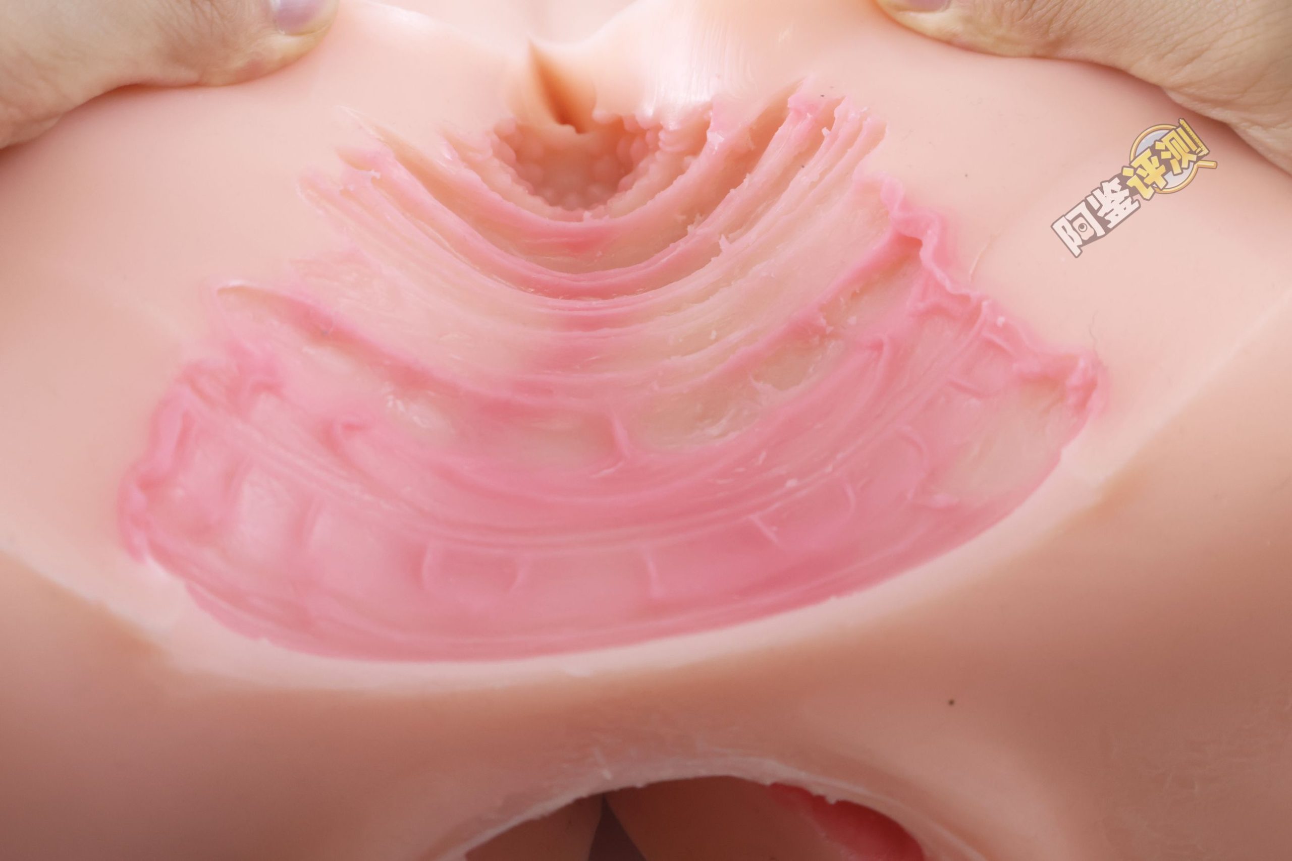 Kaguyano——“符津宵子”评测！能超越“纯洁之体”的部分，似乎只有材料的软度这一点了