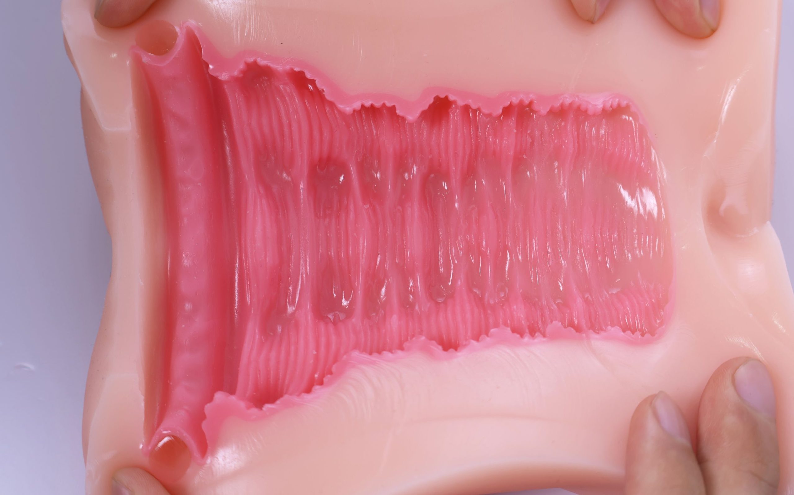 LoveFactor——“萌妻解禁”评测！久违的约束环菊花杯，似曾相识的三层材质结构