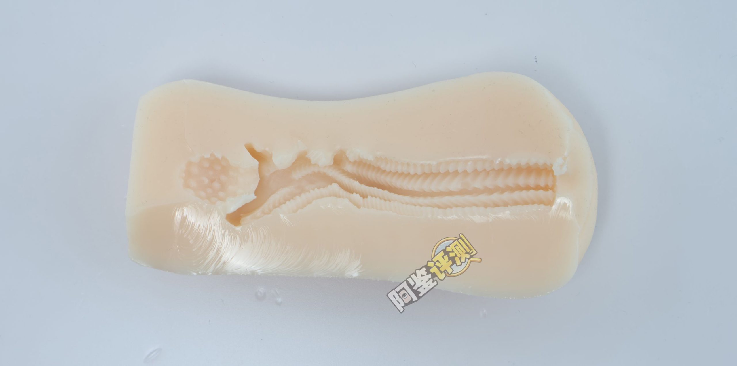 汤玛托易士——“异世界后宫物语—娜塔莉亚”评测！肉片杯这东西真的是越做越无聊了