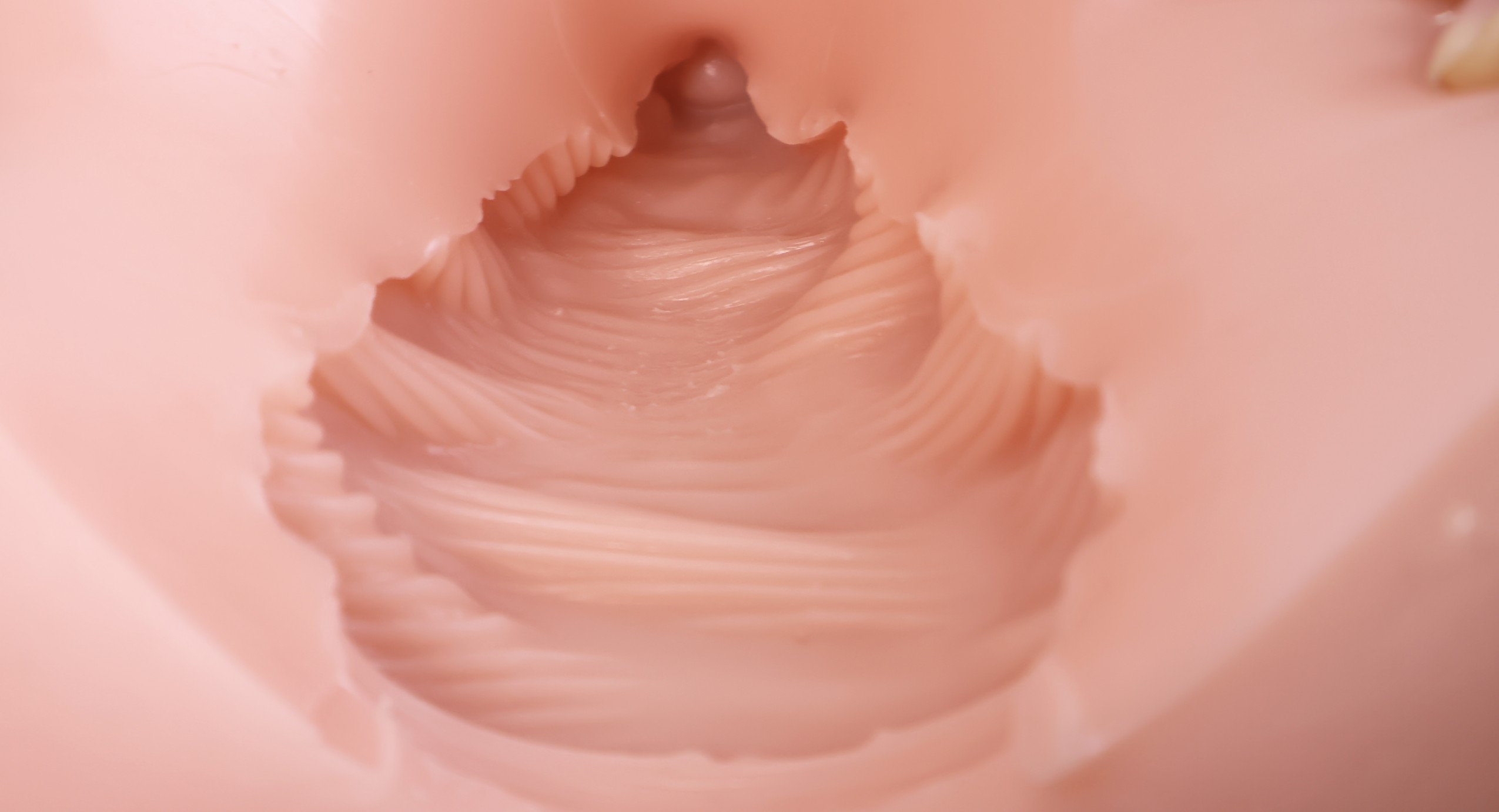 GOSE——“美臀殿堂”评测！即使是“殿堂”级的换穴炮架臀，你会真的选择使用吗？（上）