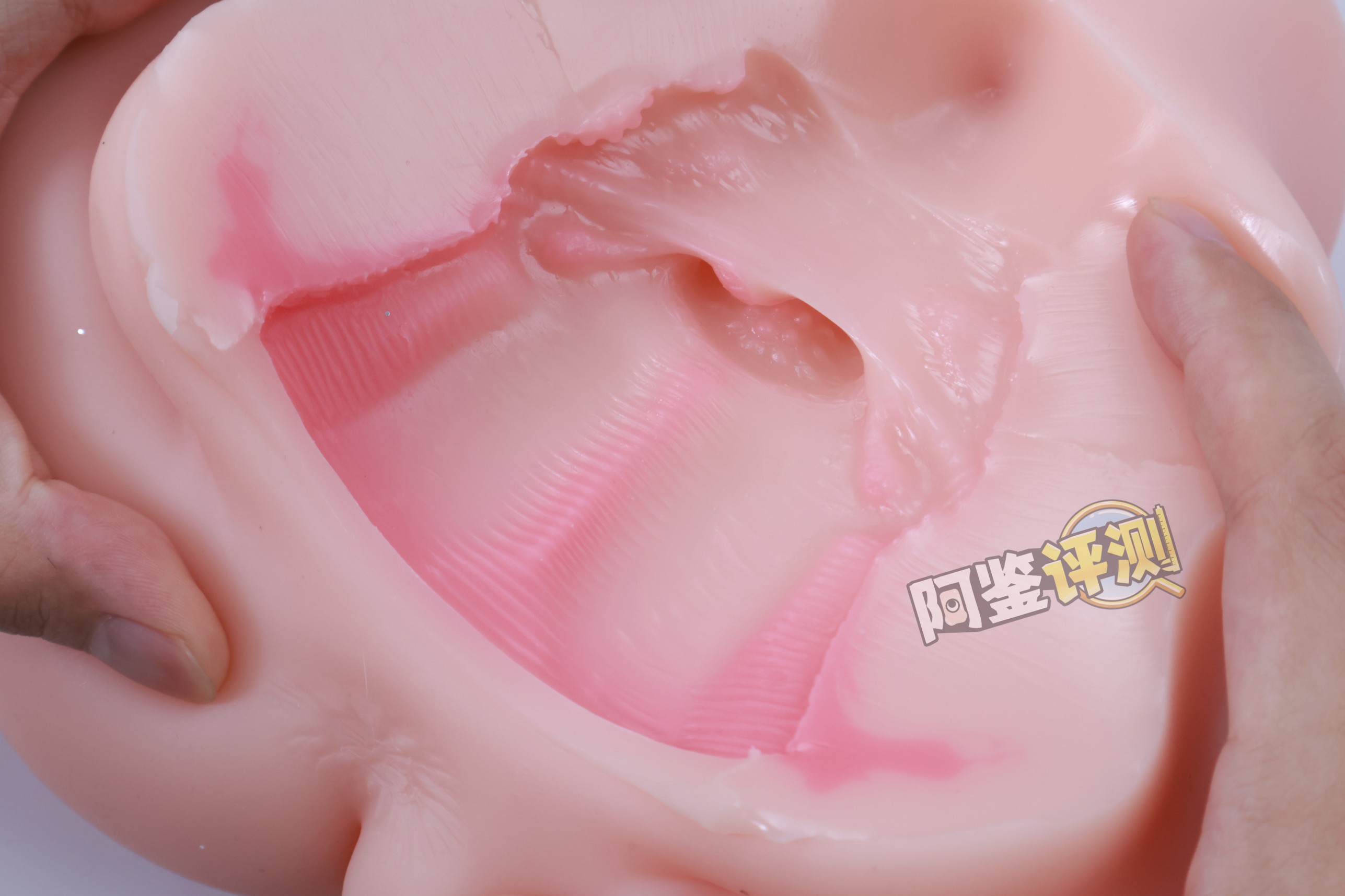 GXP——“兔仆长”评测！猎奇的双子宫小兔几，带腿造型的杯子是怎样体验？