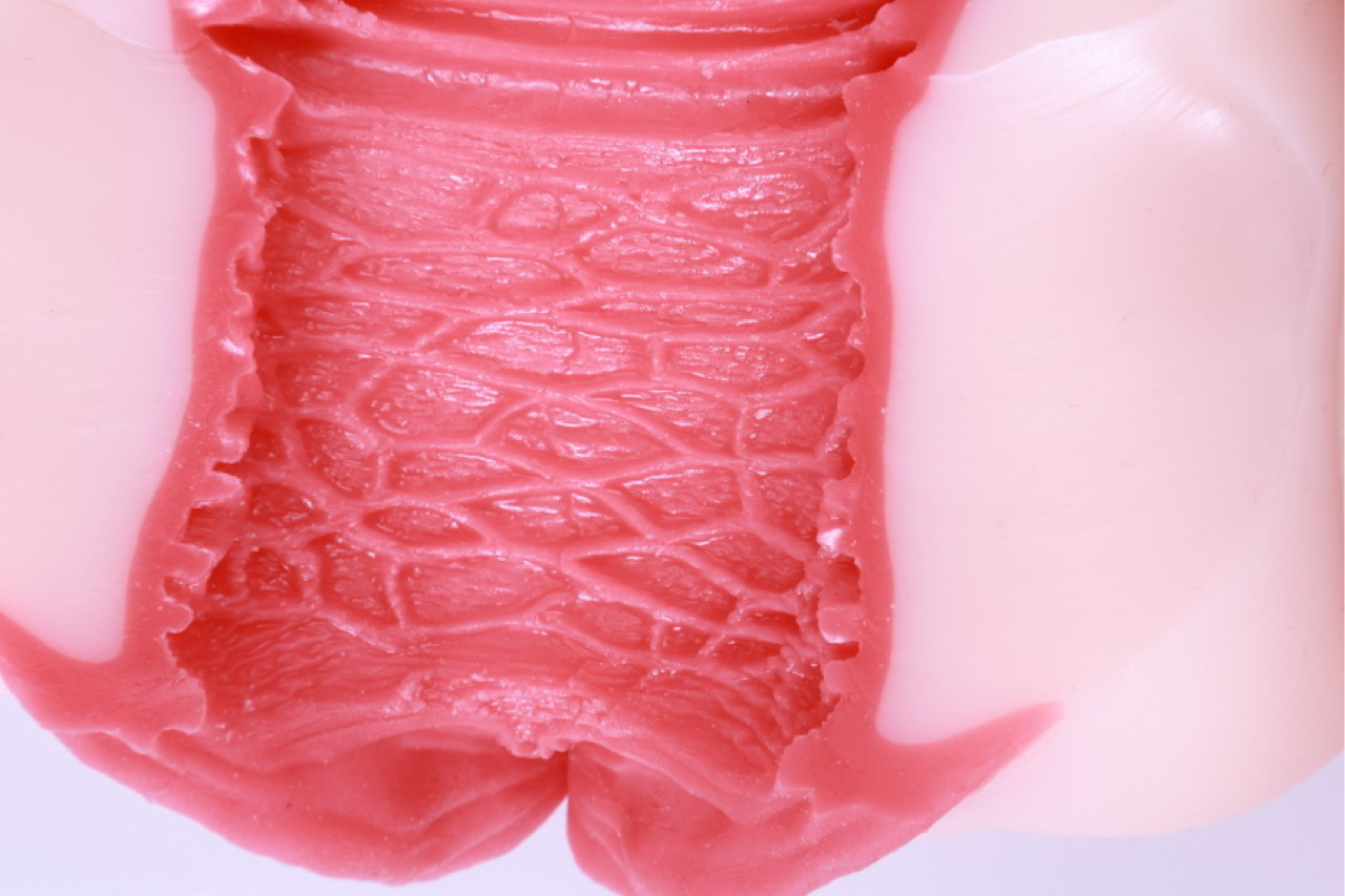 GOSE——“圣洁之宫”评测！猎奇造型的子宫杯与新设计的排气结构，是不是真的能吸？