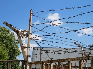 RIDE JAPAN——“Panky Mesh”！狂野，震撼亚洲！完全符合人设的危险风格