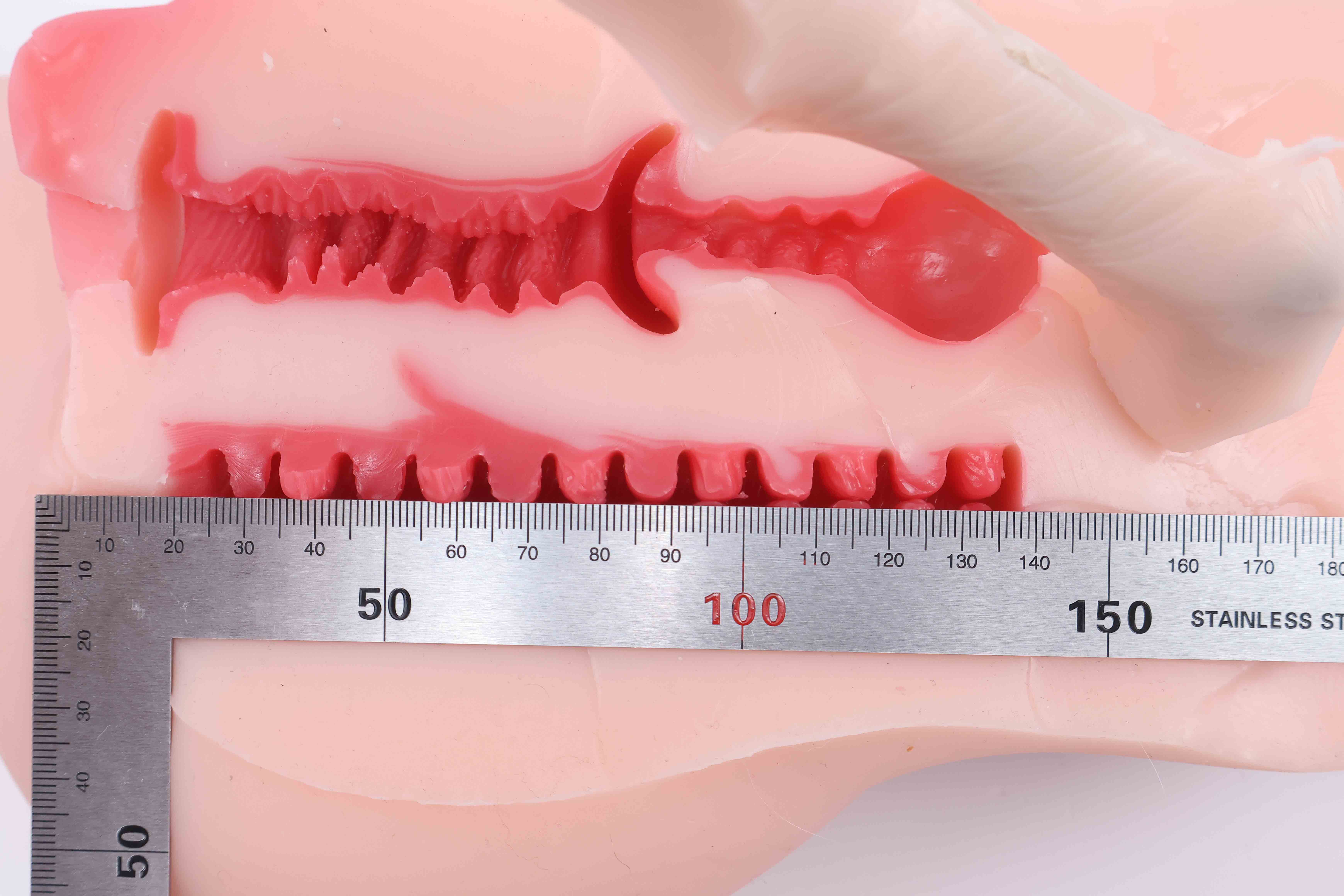 GOSE——“懒小鬼”评测！将各个方面的优化融合成了一体，各方面都相当完善的腿模