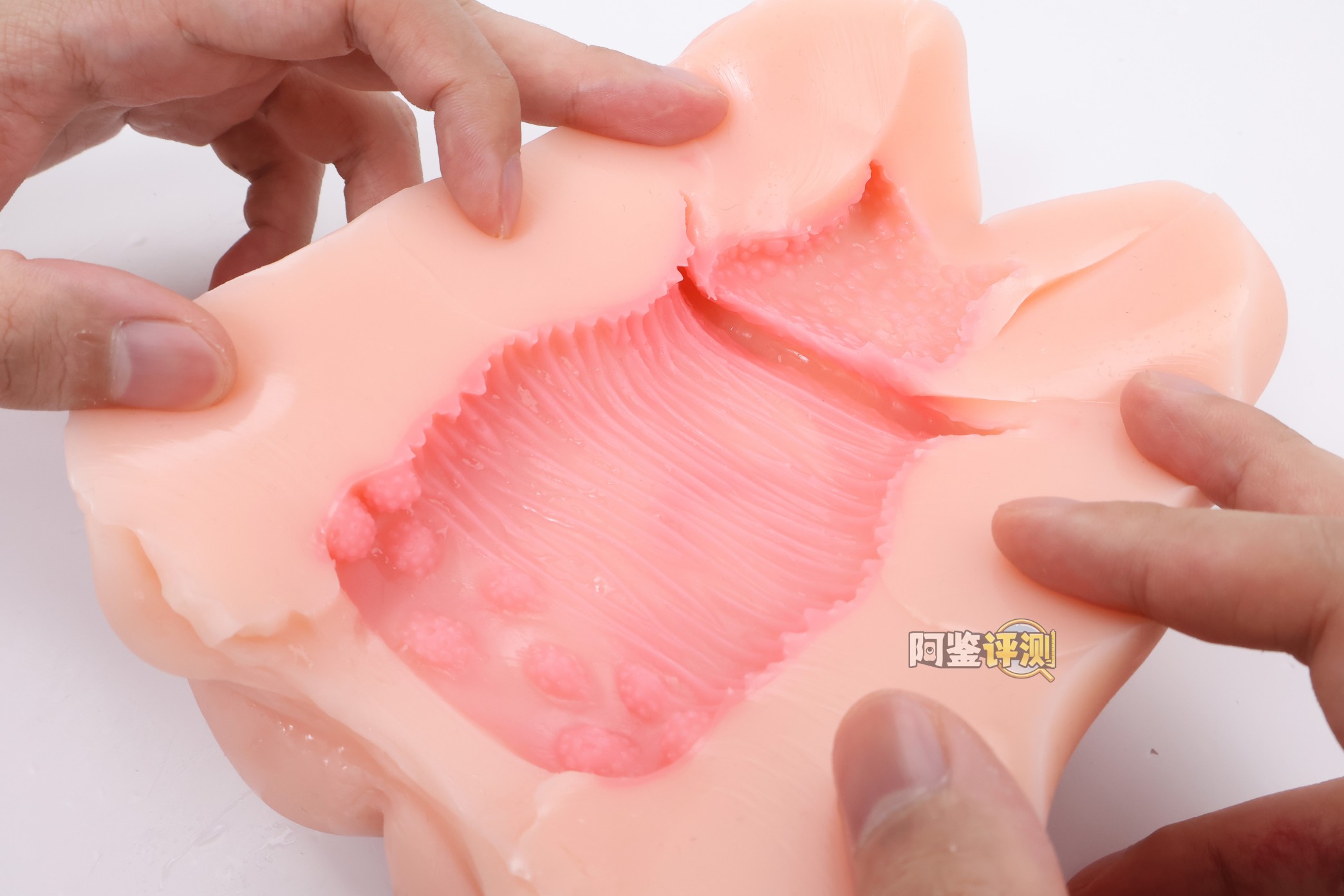 GXP——“SG研究社（1代）”评测！带一点幻想元素的仿解刨结构飞机杯！