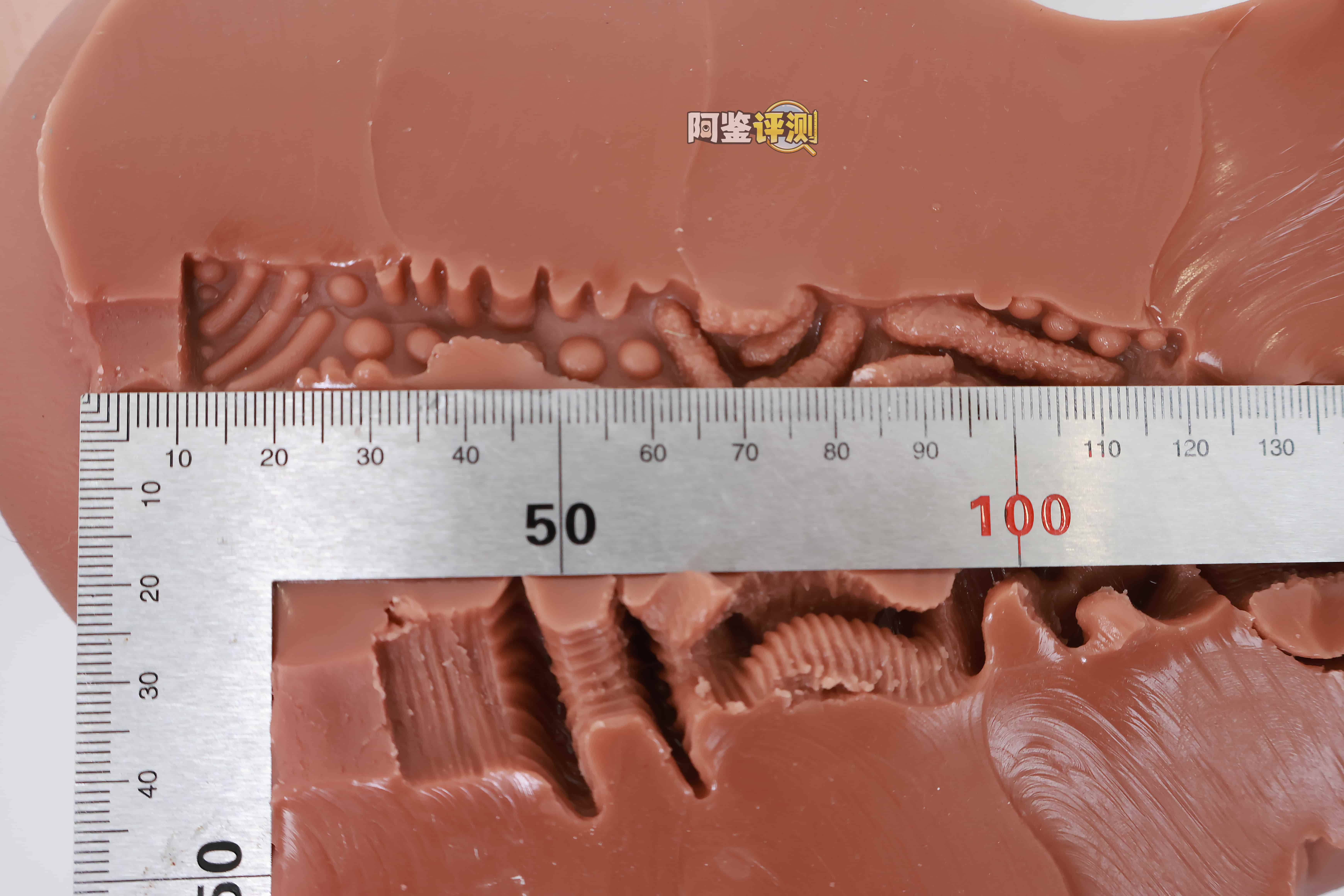 COC——“可可狼姬”评测！褐色黑皮的“成熟型”小屁股倒模，通道的复杂度和姿势兼容性都挺不错