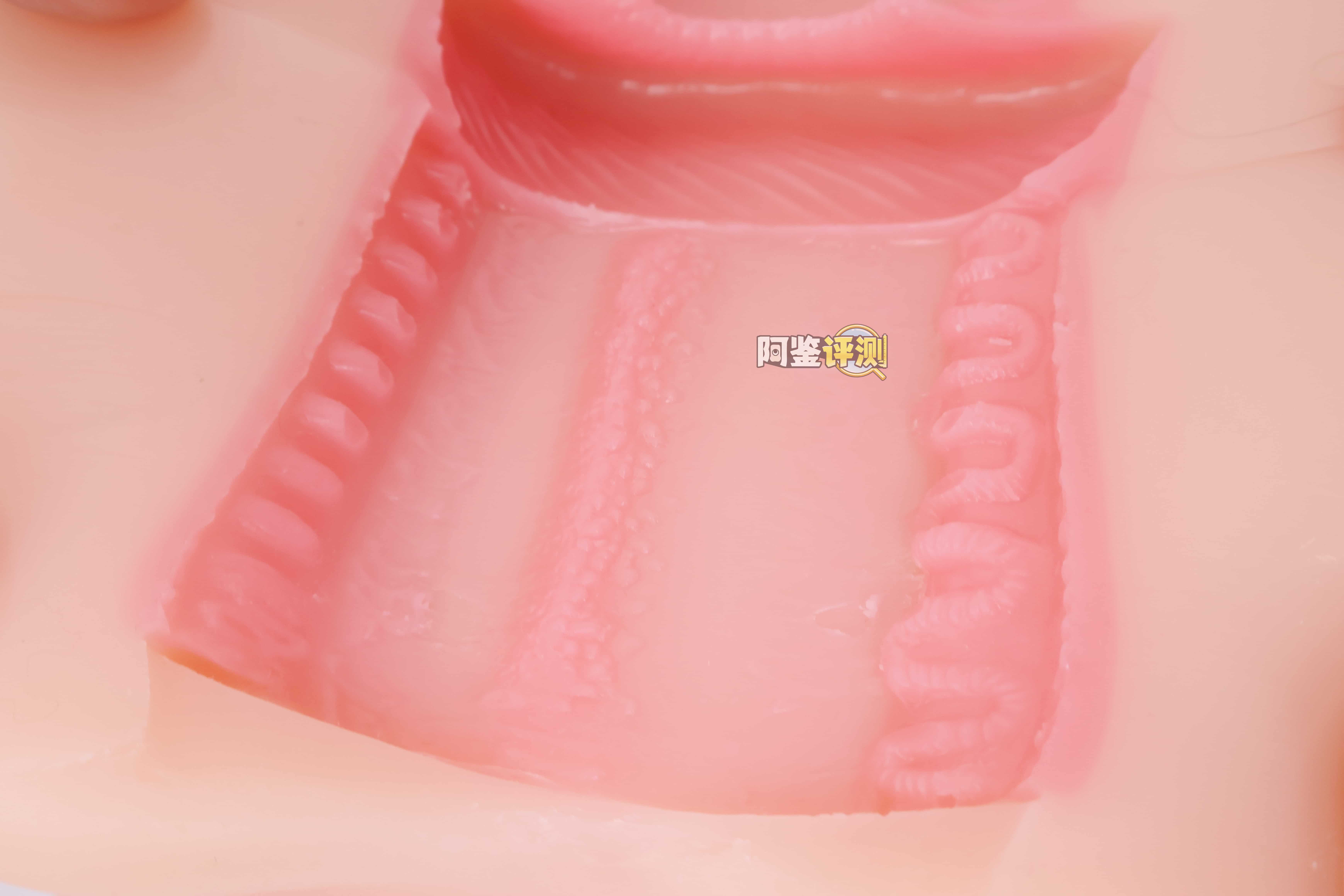 SUIKOMI——"卖杯子的小女孩"评测！这设计可以说是把子宫型杯子的缺点发挥到极致了.....