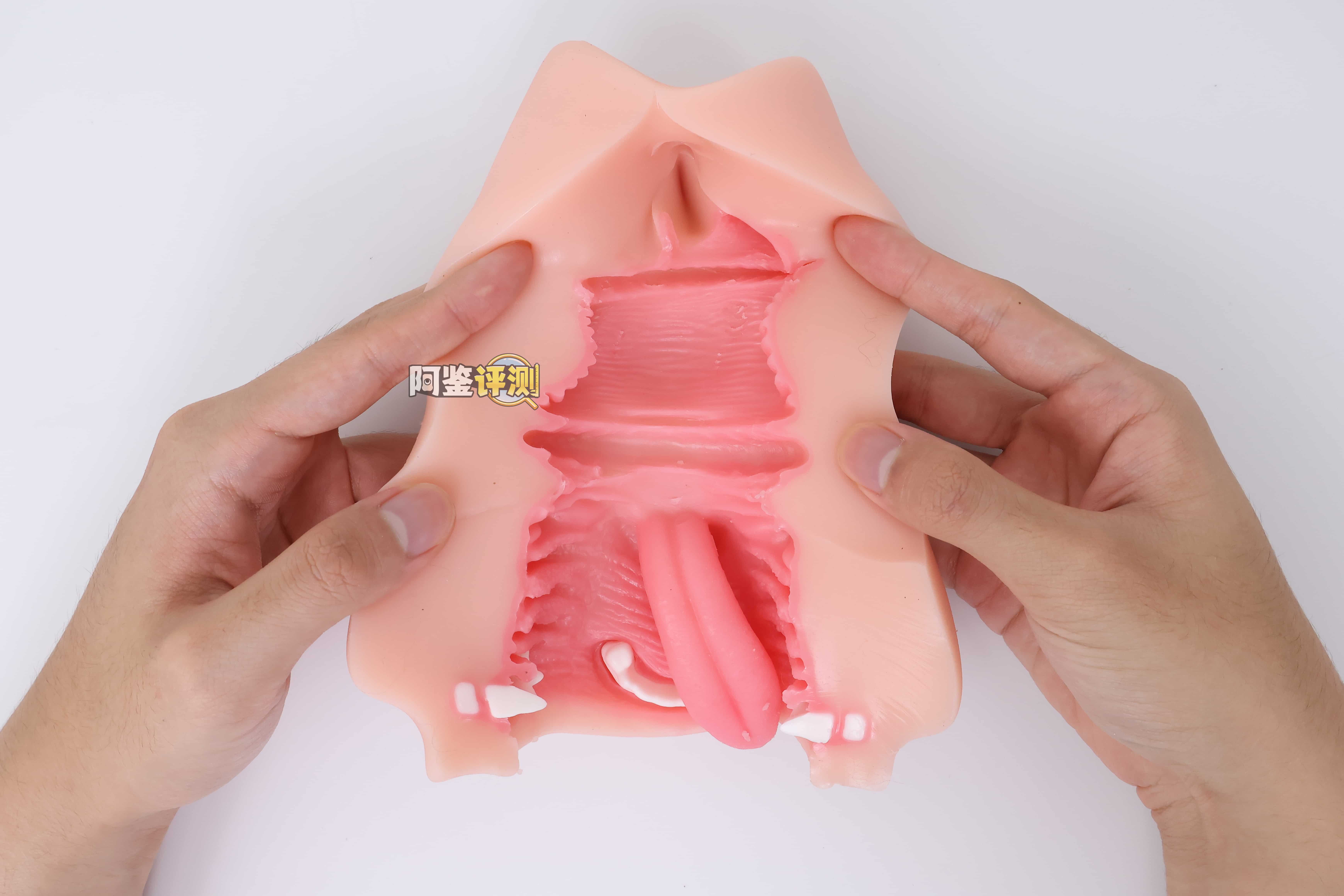 KAGUYANO——”诗多利”评测！非常“二次元画风”的口腔结构，但深处的简单结构并不实用