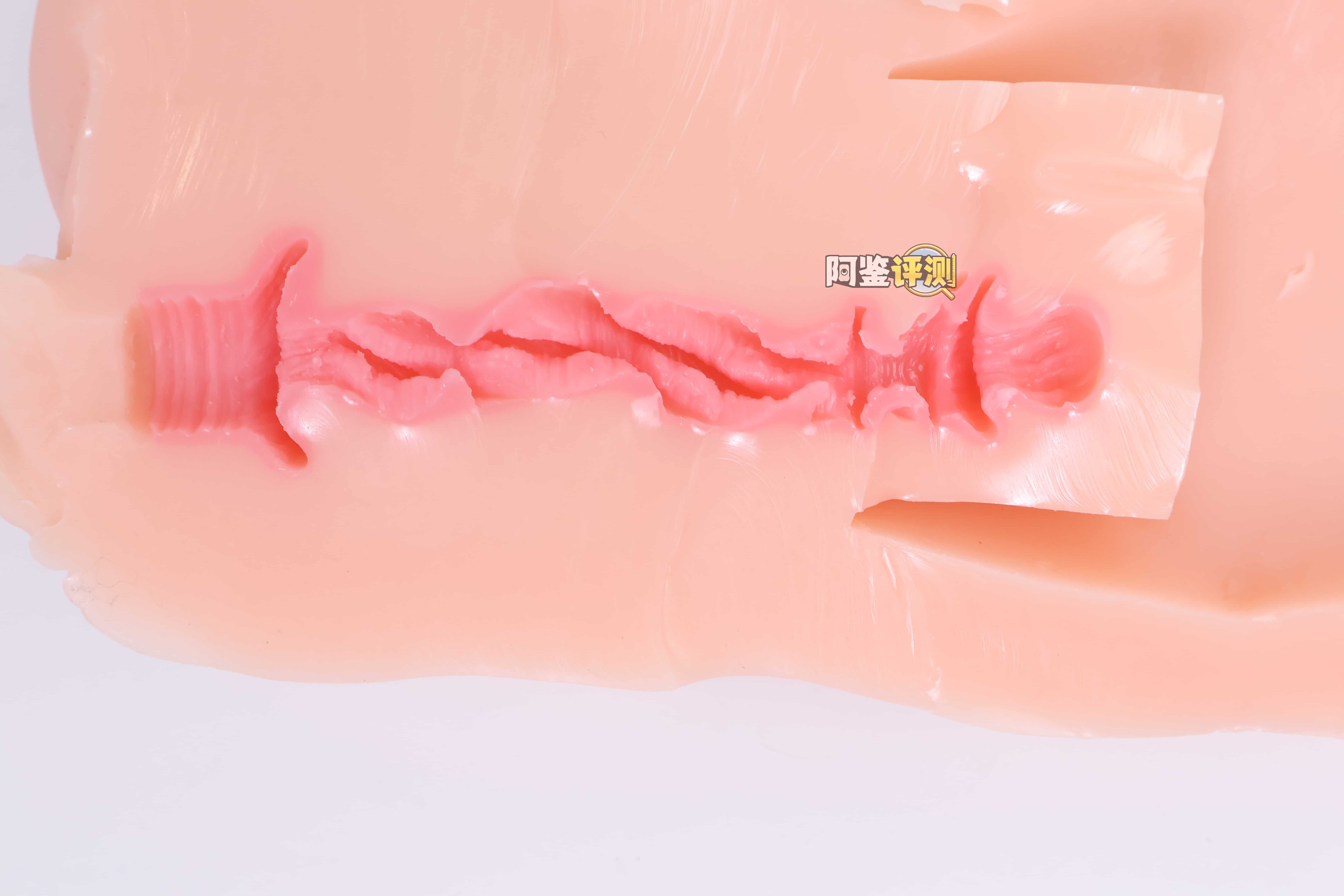 GXP——“白丝壁女3代电动版”评测！感觉是一款.....没太有必要存在的产品...