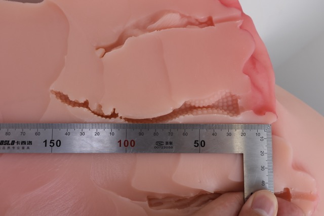 傲川——“爆汁肥尻娘MAX”评测!40kg逆天重量的究极大臀,实际使用起来到底是怎样的感觉?