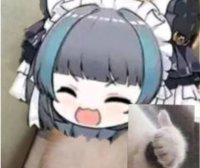 飞机杯介绍，新手入门