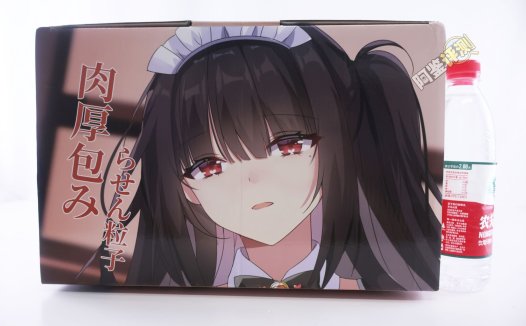 HMAX——“幻想女仆”评测!硬奶+固定腿部的大型倒模,插入有些不方便但至少床置比较好用